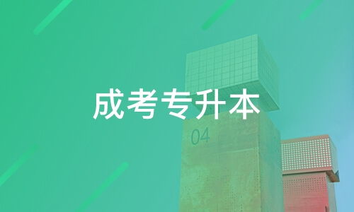 东莞圣贤教育咨询深度解析 口碑、课程与适用人群